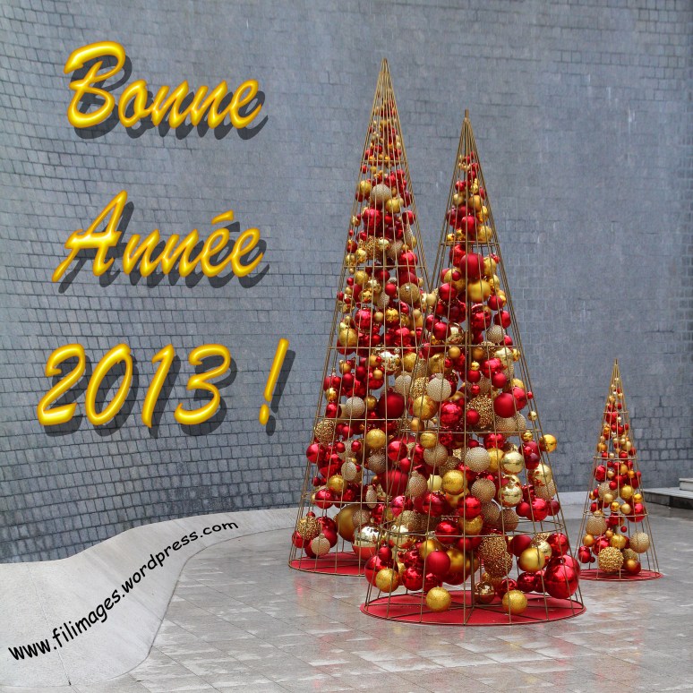 Bonne Annee 2013