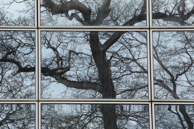 Reflet sur le centre culturel de Cesson-Sévigné (35).