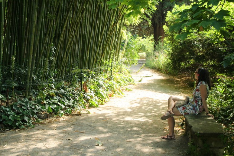 Montpellier, Jardin des Plantes.