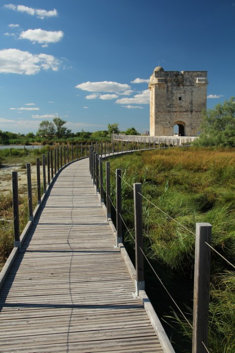 La Tour Carbonnière, près d'Aigues-Mortes (Gard).
