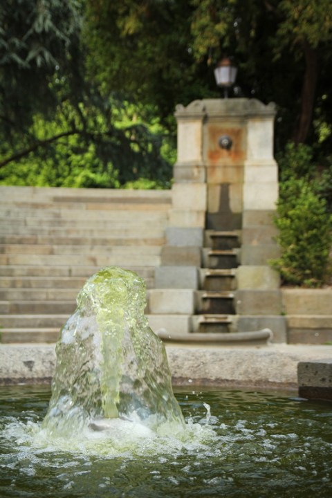 Rennes, Parc du Thabor (Mai 2014)