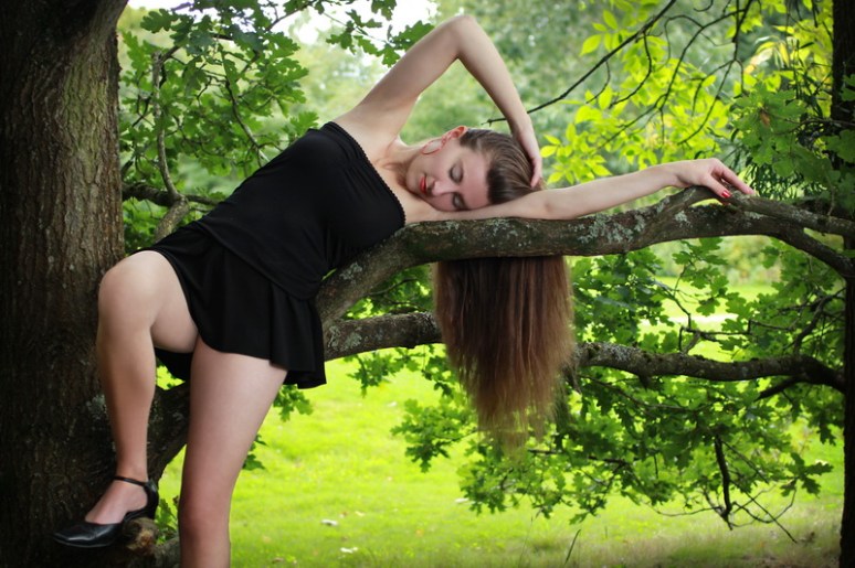 Sur mon arbre perchée (2)