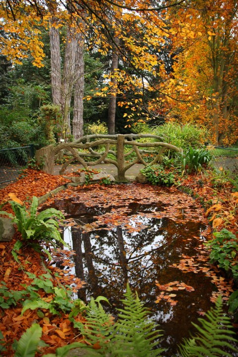 Caen - Le Jardin des Plantes
