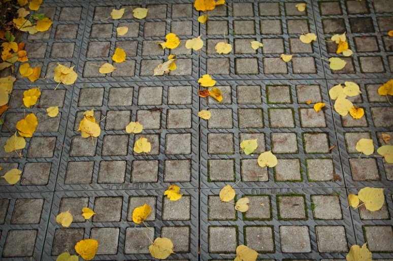 Caen - Le Jardin des Plantes