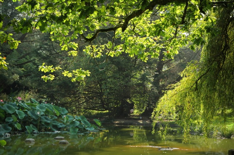 Parc animalier de Branféré (Le Guerno, Morbihan)