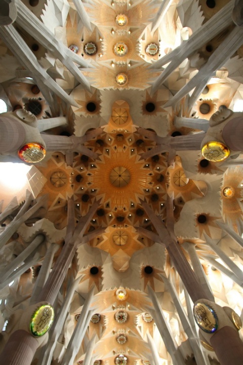 Plafond de la Sagrada Familia (Barcelone, Espagne)