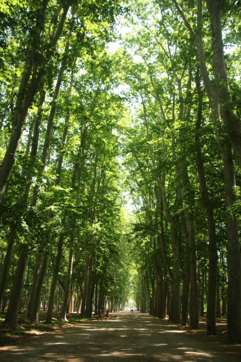 Gérone (Espagne). Jardins de la Devesa.