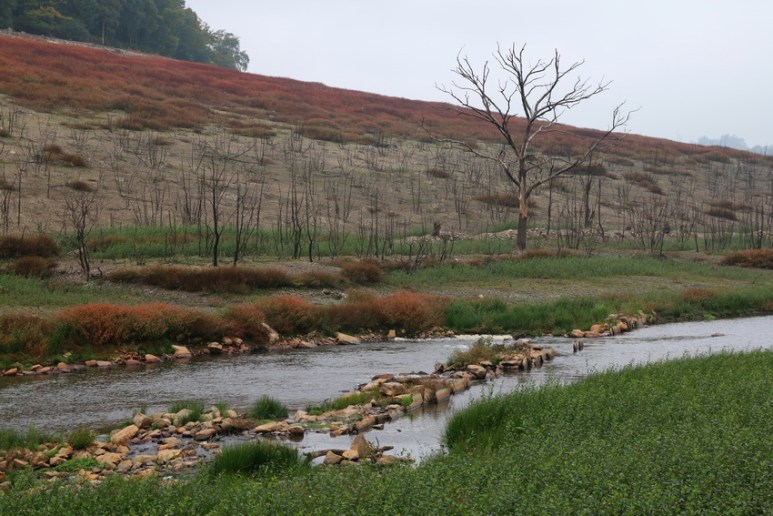 Au fond du lac de Guerlédan asséché en 2015 (Bretagne).
