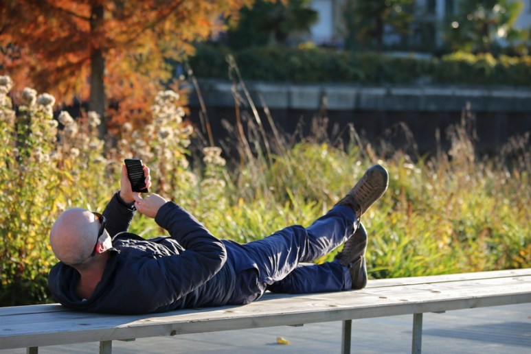Connexion au Jardin de la Confluence (Rennes, Octobre 2015)