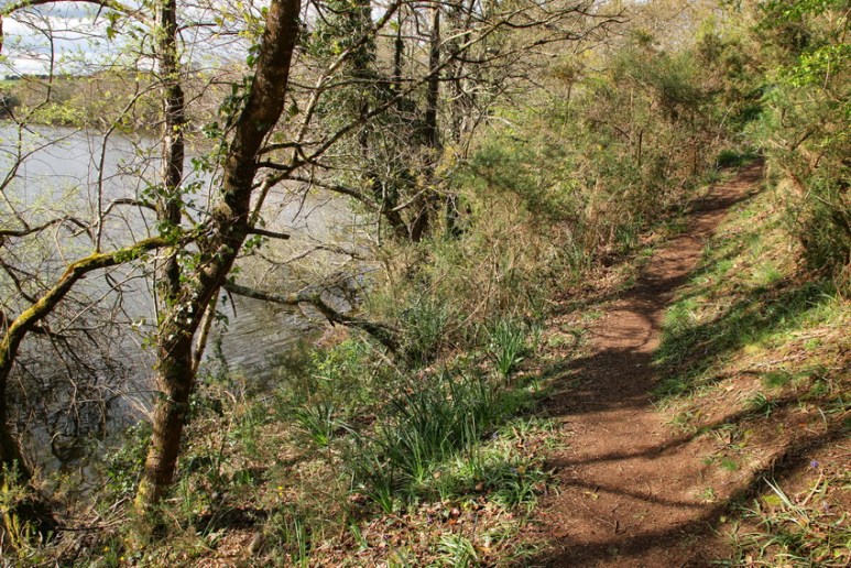 Muzillac (Morbihan), au bord de l'étang de Pen Mur.