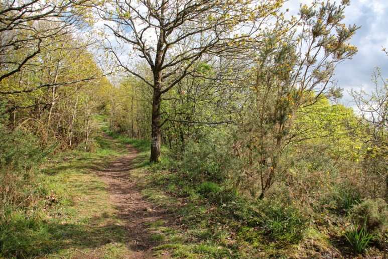 Muzillac (Morbihan), chemin de randonnée.