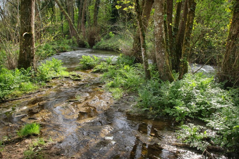 Muzillac (Morbihan), la rivière Saint-Éloi.