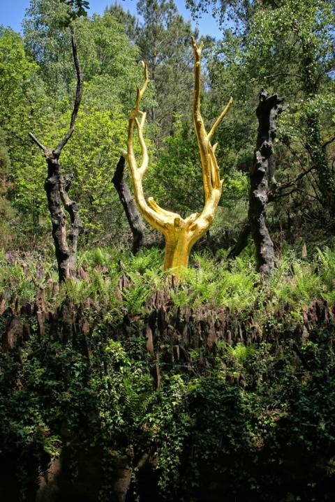 L'Arbre d'Or (Forêt de Brocéliande)