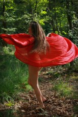 La fée de Brocéliande&nbsp;(63)