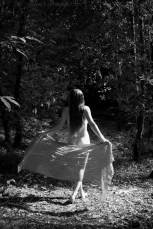 La fée de Brocéliande&nbsp;(NB61)