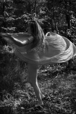 La fée de Brocéliande&nbsp;(NB63)