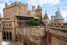 Le château des rois de Navarre