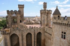 Le château des rois de Navarre