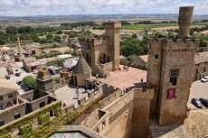 Le château des rois de&nbsp;Navarre