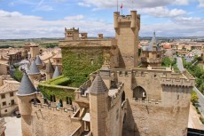 Le château des rois de Navarre