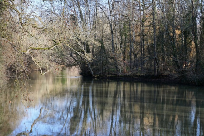 Le Loiret Filimages — free download