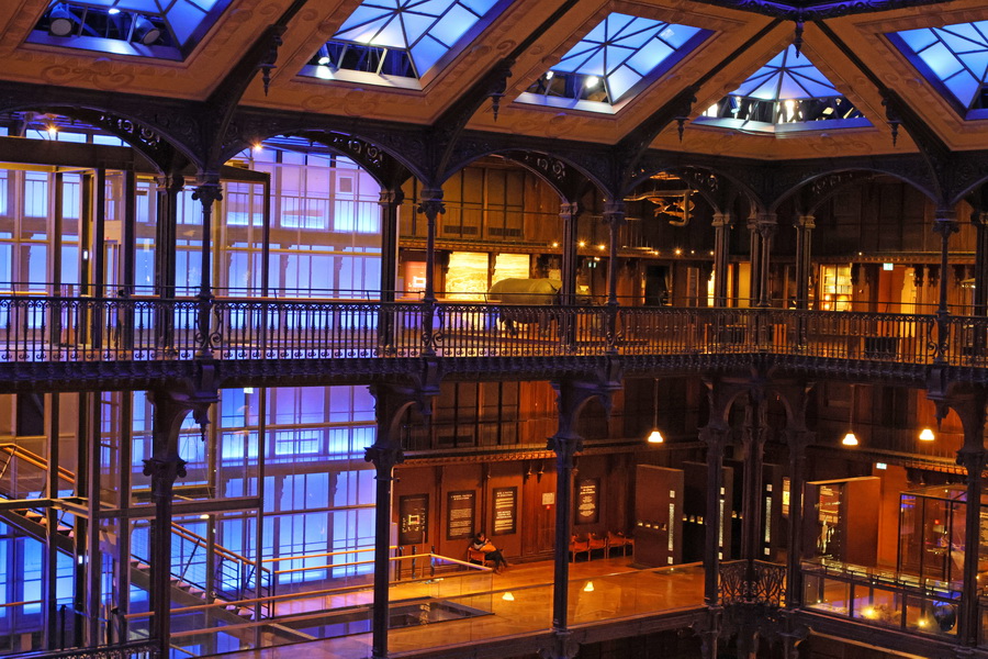 Dans la Grande Galerie de l'Évolution du Muséum national d'histoire naturelle de Paris.