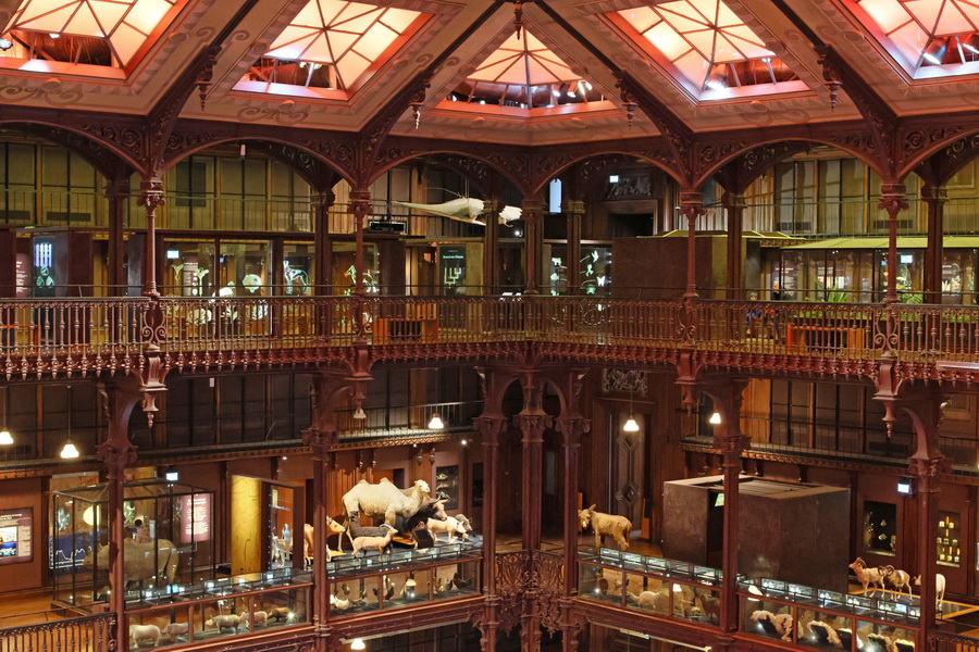 Dans la Grande Galerie de l'Évolution du Muséum national d'histoire naturelle de Paris.