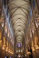 Dans la cathédrale Notre-Dame de Paris.