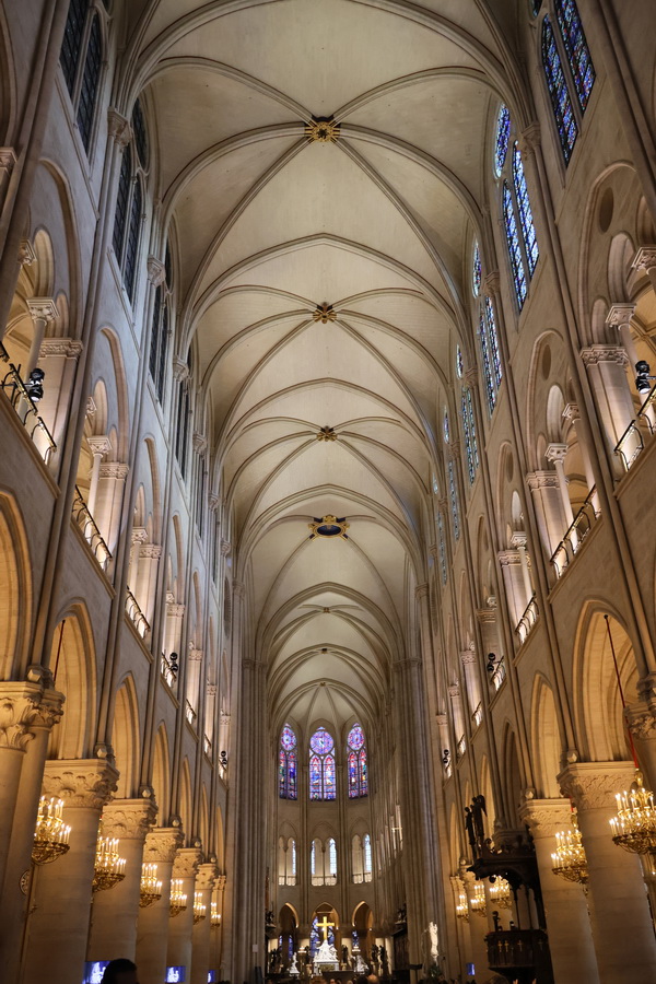 Dans la cathédrale Notre-Dame de Paris.