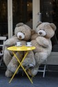 Ours à la terrasse du café "Le Voltigeur" (Paris, rue des Francs Bourgeois).