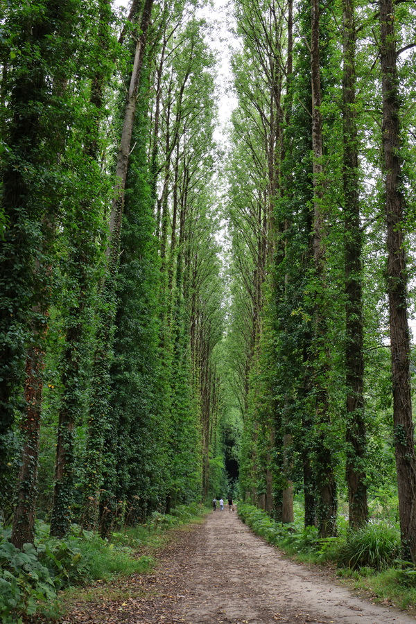 Dinan (Côtes-d'Armor). Chemin au bord de la Rance, entre le port de Dinan et Léhon.