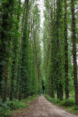 Dinan (Côtes-d'Armor). Chemin au bord de la Rance, entre le port de Dinan et Léhon.