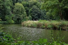 Dinan (Côtes-d'Armor). La Rance entre le port de Dinan et Léhon.