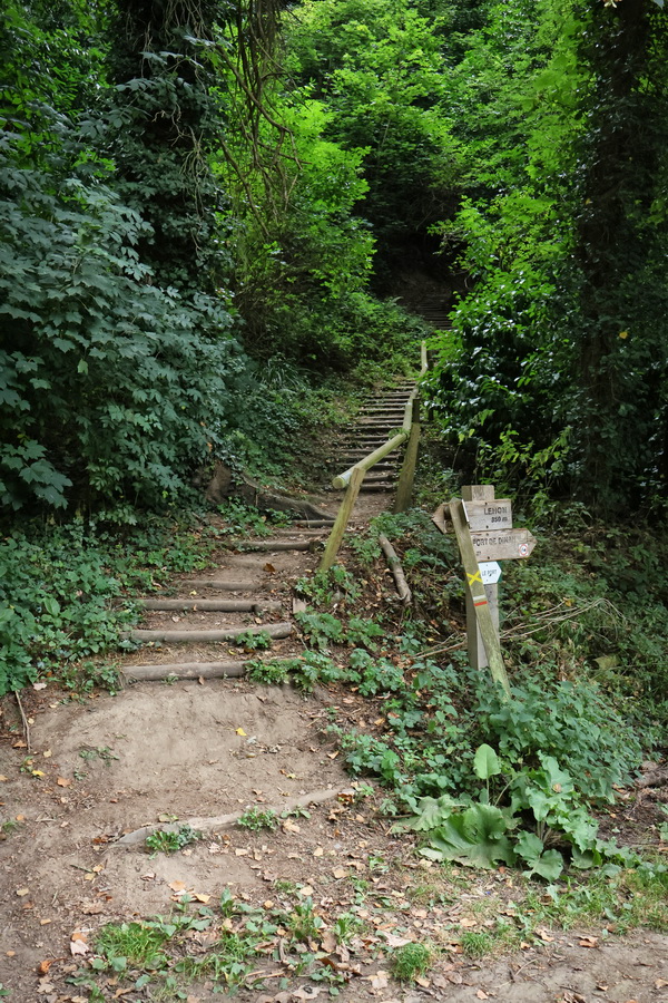 Dinan (Côtes-d'Armor). Chemin au bord de la Rance, entre le port de Dinan et Léhon.