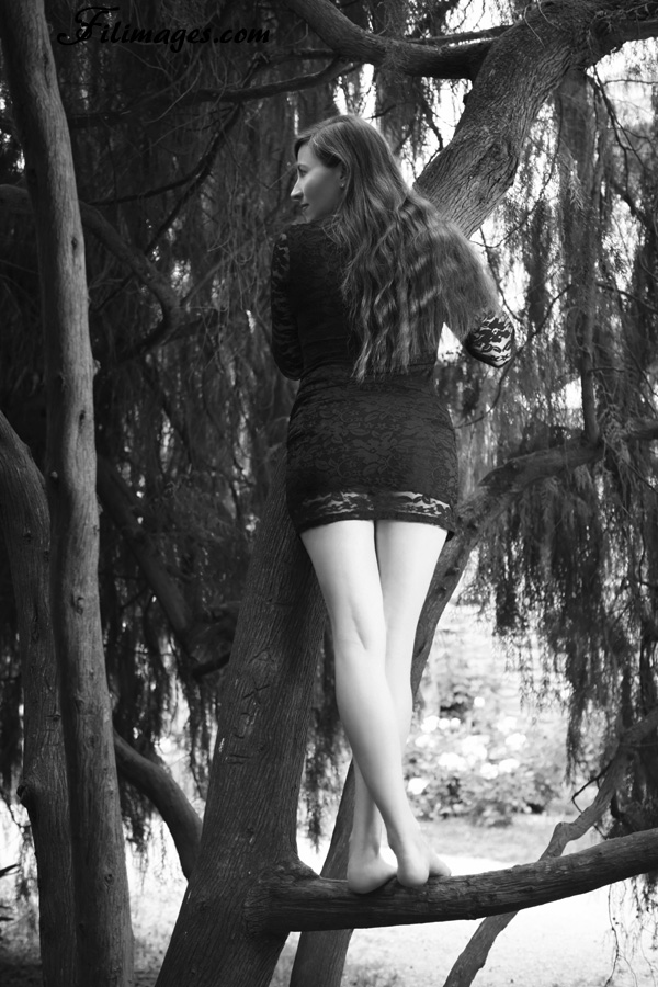 Shanna au Thabor (NB66)