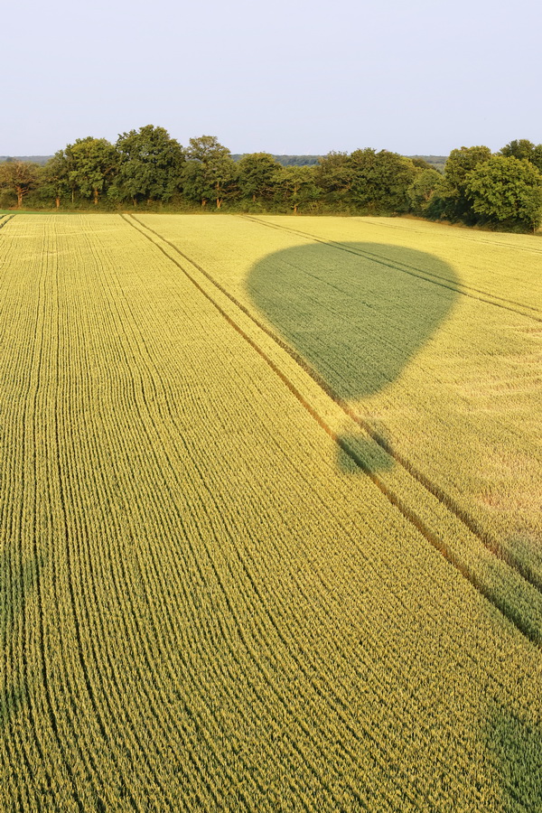 L'ombre de la montgolfière en descente pour trouver un site d'atterrissage, entre Erbray et Soudan.