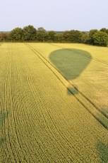 L'ombre de la montgolfière en descente pour trouver un site d'atterrissage, entre Erbray et Soudan.