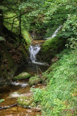 Oppenau (Allemagne), Forêt Noire. Les chutes d'Allerheiligen.