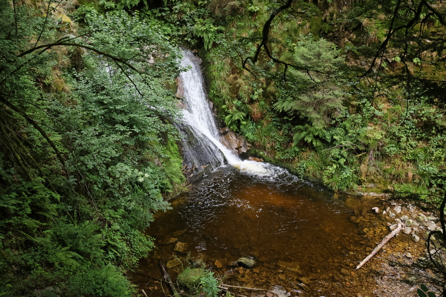 Oppenau (Allemagne), Forêt Noire. Les chutes d'Allerheiligen.