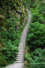 Oppenau (Allemagne), Forêt Noire. Escalier près des chutes d'Allerheiligen.