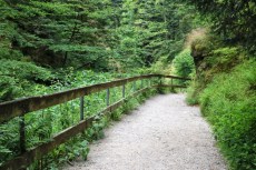 Oppenau (Allemagne), Forêt Noire. Chemin près des chutes d'Allerheiligen.