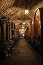 La cave historique des Hospices de Strasbourg (Bas-Rhin).