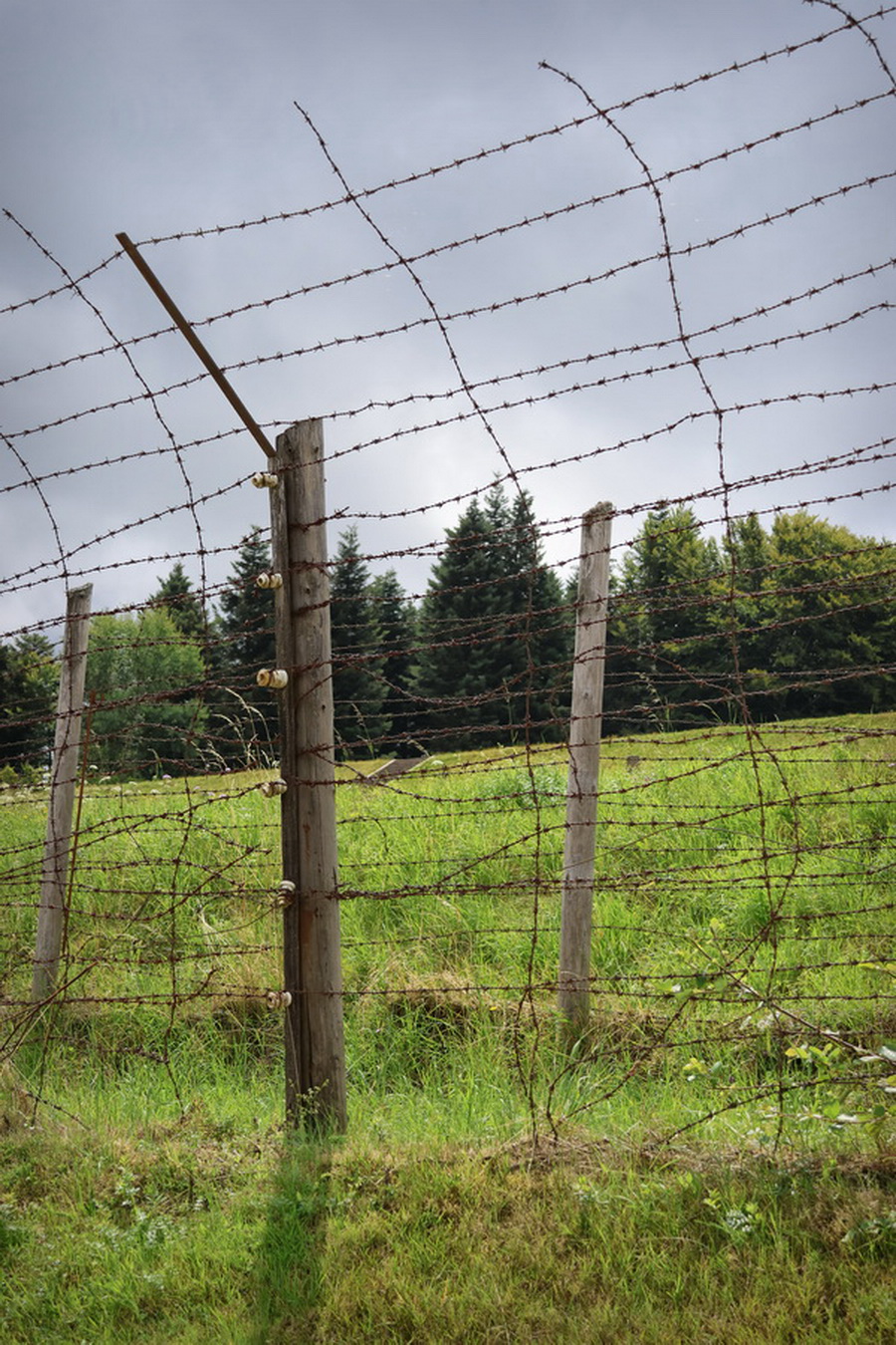 Clôture barbelée du camp de concentration de Natzweiler-Struthof.