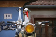 Cigognes à moto à Molsheim (Alsace).