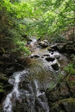 Todtnau (Allemagne, Forêt Noire). La cascade de Todtnauer.